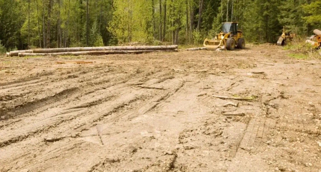 Chico Excavating project photo 13